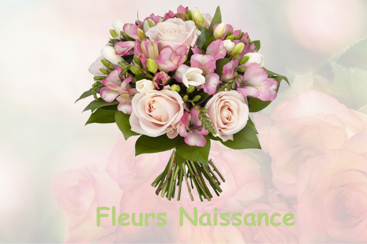 fleurs naissance LA-CHAPELLE-DU-BOIS-DES-FAULX